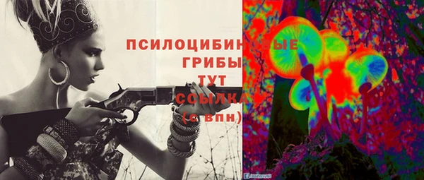 хмурый Надым