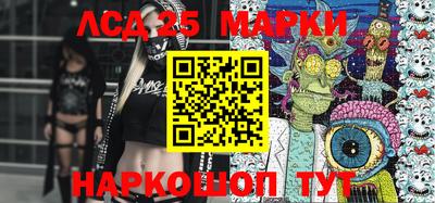 гидра Будённовск