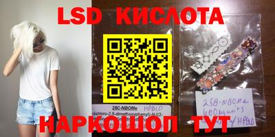 гидра Будённовск