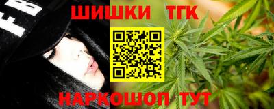 гидра Будённовск