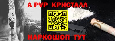гидра Будённовск