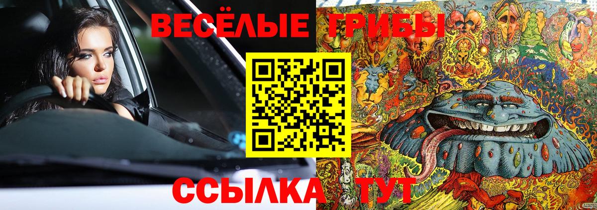 Галлюциногенные грибы Magic Shrooms  Вход с VPN  купить   Псилоцибиновые грибы Psilocybe  Таганрог 