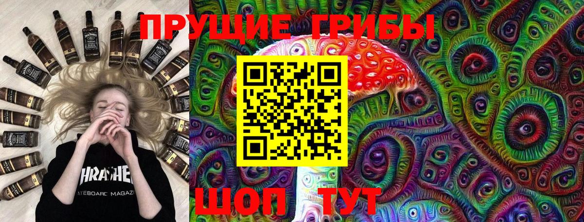 Псилоцибиновые грибы GOLDEN TEACHER Таганрог